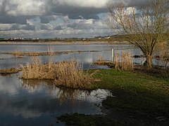 Le marais de Goulaine.