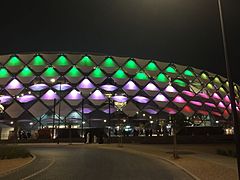 Həzza Bin Zayed stadionu.