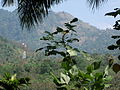 Hill view from chandanakampara.JPG