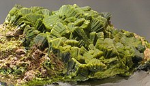 Autunite, Washington state Hillman Hall of Minerals and Gems - IMG 0640 (cropped).jpg