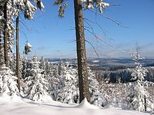 Blick vom Hohen Wald Richtung Giller