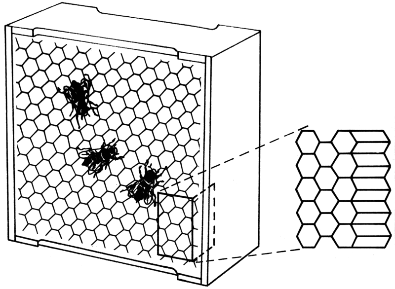 File:Honeycombs (PSF).png