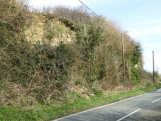 Houghton Green Cliff Site of Special Scientific Interest in East Sussex
