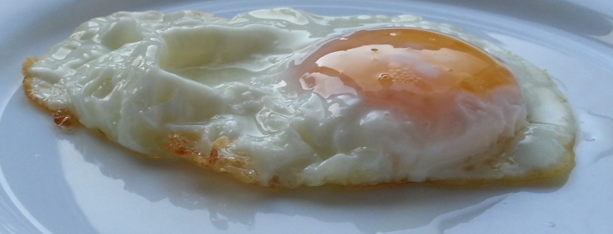 File:3 fried eggs.png - Wikimedia Commons