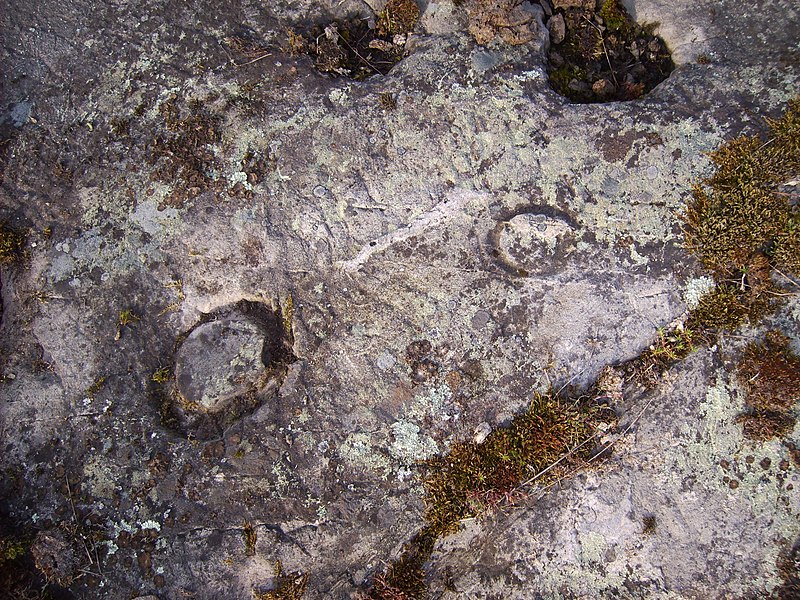 File:I närheten av Karlsberget vid sjön Glan, finns på ett bergskrön med ett tiotal ristningar, bortom detta finns dessa två ringar, den 24 april 2007.jpg