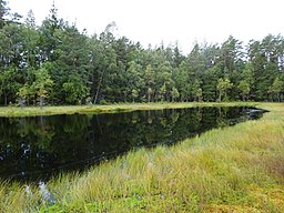 Igelsjön, mitt i Igelsjöskogens naturreservat