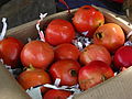 India - Koyambedu Market - Pomegranate 02 (3986295605).jpg
