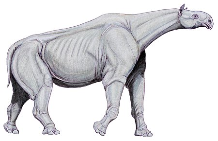 Life restoration of Paraceratherium transouralicum.