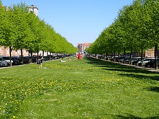 <span class="mw-page-title-main">Ingerslevs Boulevard</span> Street in Aarhus, Denmark