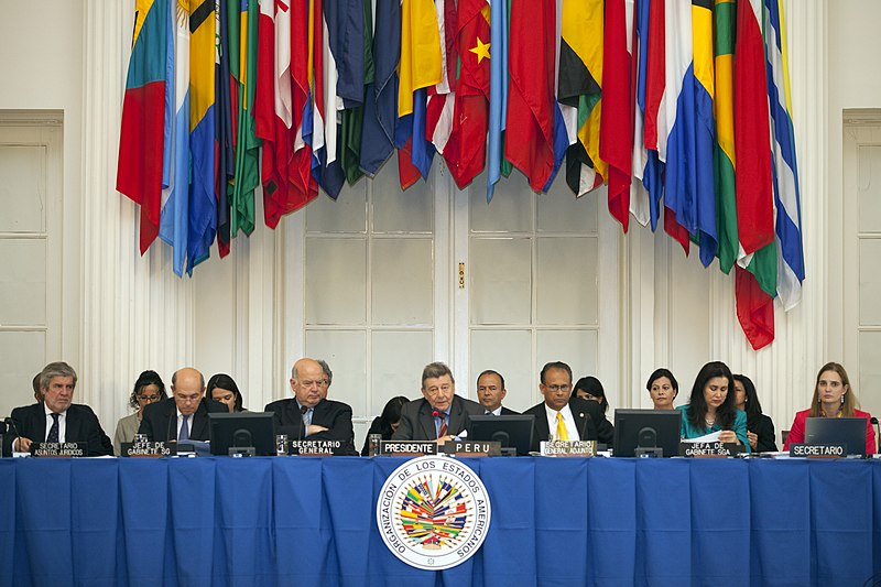 File:Intervención del Canciller Ricardo Patiño en la OEA (7852022488).jpg