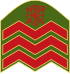 Ирландия-армия-ИЛИ-6.svg