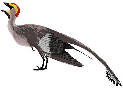 Restoration of Jeholornis Jeholornis mmartyniuk wiki.jpg