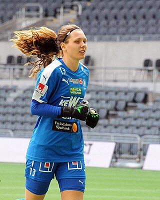 <span class="mw-page-title-main">Jennifer Falk</span> Swedish football goalkeeper