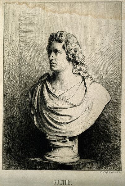 File:Johann Wolfgang von Goethe. Etching by W. Unger, 1881, after Wellcome V0002303.jpg