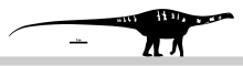 Katepensaurus Skeletal.svg