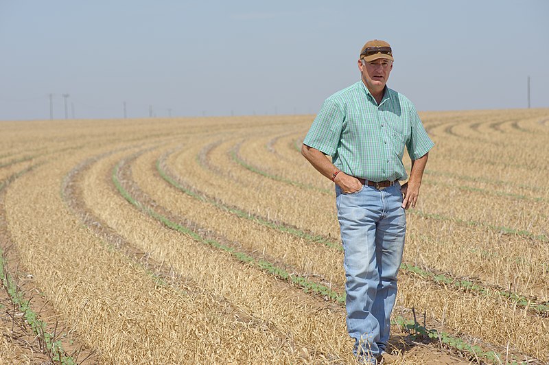 File:Kevin Mitchell, Lynn county producer, utilizes conservation tillage methods in his continuous cotton farming operation. (24749410369).jpg