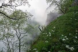 Khodz River Valley in fog, Adygea, Верховья реки Ходзь в тумане и облаках, Адыгея (CC BY 4.0)