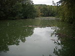 Kleiner Schinkensee