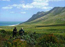 Image of the coastal region (Cape Town, South Africa) with a fynbos dominated environment. Kogelberg Biosphere Reserve - city of Cape Town.JPG