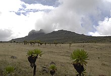 Vue du Koitobos, sommet kenyan situé sur le rebord oriental de la caldeira et culminant à 4 222 mètres d'altitude.