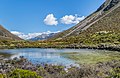 * Nomination Lake Misery at Arthur's Pass in Arthur's Pass NP in Canterbury Region, New Zealand. (By Tournasol7) --Sebring12Hrs 18:33, 4 December 2020 (UTC) * Promotion Good quality. --Moroder 04:31, 12 December 2020 (UTC)