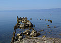 * Nomination Lake Ohrid near city Ohrid --Pudelek 12:14, 10 October 2012 (UTC) * Promotion Mildly unsharp? Mattbuck 21:41, 17 October 2012 (UTC) I have sharpened it myself. Mattbuck 23:05, 25 October 2012 (UTC)  Support Good quality, now. --Jkadavoor 07:33, 27 October 2012 (UTC)