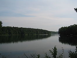 Lake de Feldberg Schmaler Luzinsee.JPG