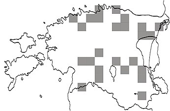 Skinnlavens utbredning i Estland 2011.