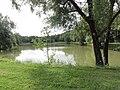 Parc et étang au bord de l'Ornain, en amont.