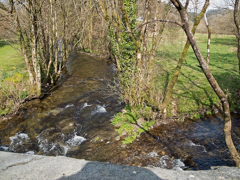 File:Looking up the river Bray from Newtown Bridge on the A399 - geograph.org.uk - 3916142.jpg