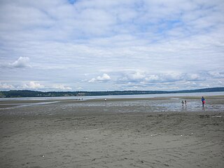 <span class="mw-page-title-main">Double Bluff Beach</span>