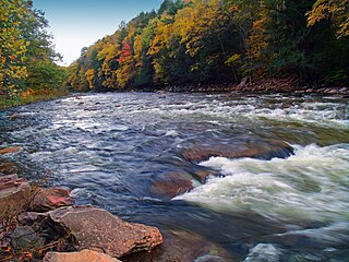 Loyalsock State Forest