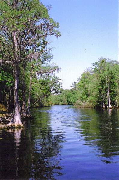 The Lumber River as seen from the boat launch at Princess Ann near Orrum