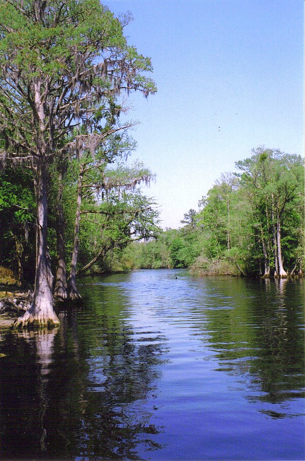 The Lumber River as seen from the boat launch at Princess Ann near Orrum.