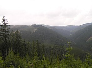 View into the Löwengrund