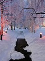 Lyötynpuisto Oulu 20210212.jpg