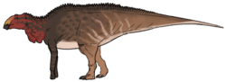 Maiasaura peeblesorum.png