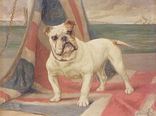 A painting of a bulldog standing on a British flag