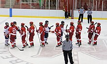 U Sports encourages competition with a sense of fair-play McGill Martlets 18 janvier 2011 180.jpg