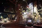 Rain Forest: Exploring Life on Earth exhibit