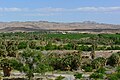 Moapa Valley NWR