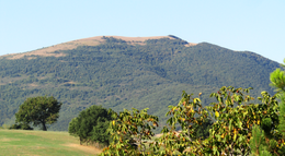 Monte La Pereta văzut de pe Azzoni.png