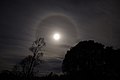 Moon ring over Tasmania.jpg