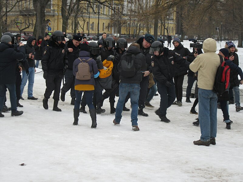 File:Mothers' rally. St. Petersburg, 2019-02-10 IMG 3473.jpg