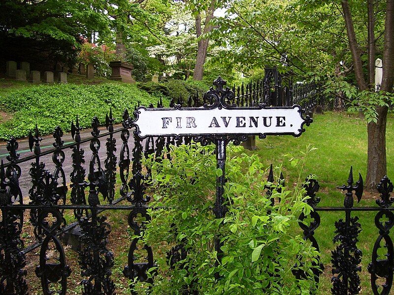 File:Mount Auburn Cemetery Fir Avenue.jpg