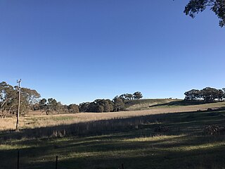 <span class="mw-page-title-main">Muckleford, Victoria</span> Town in Victoria, Australia