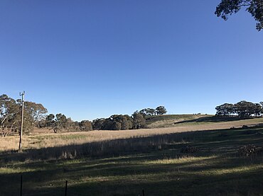 Muckleford - View from Rilens road.jpg