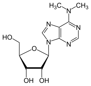 N(6),N(6)-Dimethyladenosine.svg