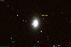 NGC 1339 DSS.jpg