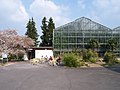 Neuer Botanischer Garten - Gewächshaus 001.jpg